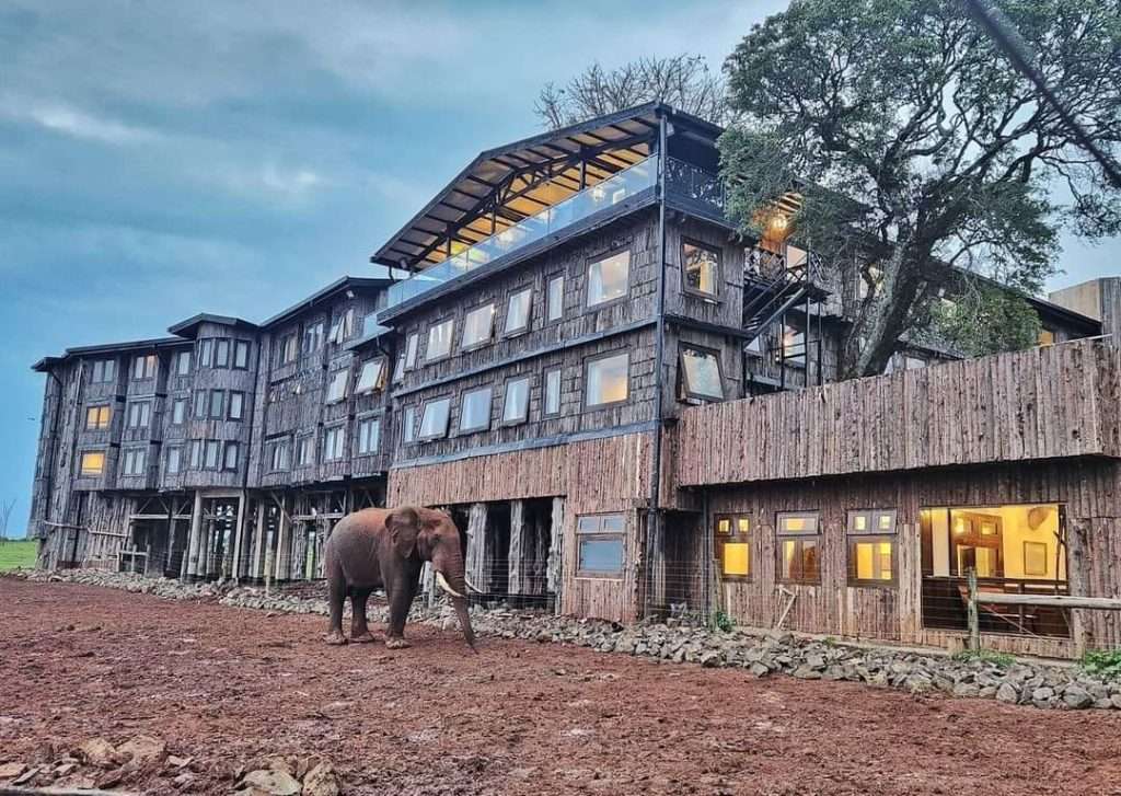 Treetops lodge, aberdares 2