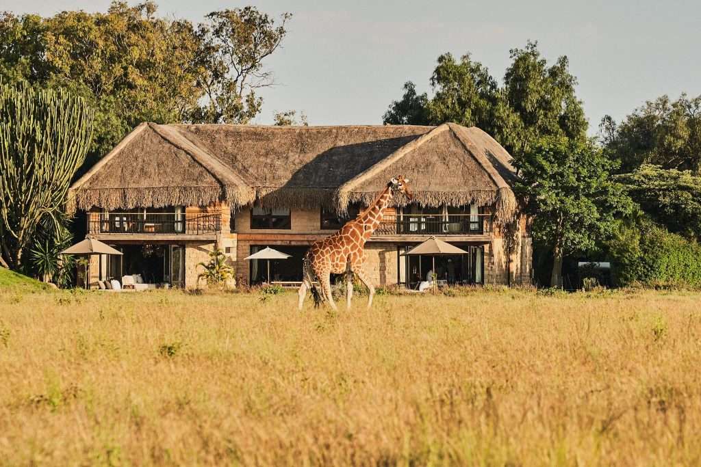 Segera Retreat Sunup Adventures Kenya