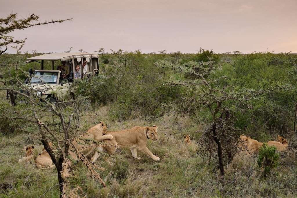 %Best African Safari Tours & Holiday Destinations %Sunup Adventures