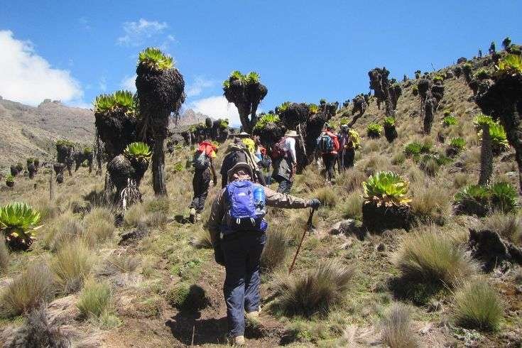Mount-Kenya-climbing-Sirimon-Route-with-Sunup-Adventures-Kenya Sirimon Route Up – Chogoria Route