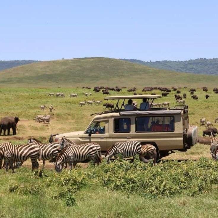 Sunup-Adventures-Masai-Mara-game-drives 6-Days: Amboseli, Lake Naivasha, Lake Nakuru & Masai Mara